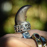 Point Well-taken~Bear Claw Ring - Angela Blessing Jewelry Designs